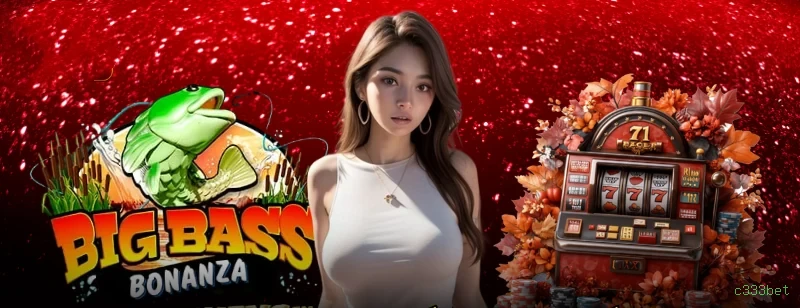 Slots no app c333bet mobile
